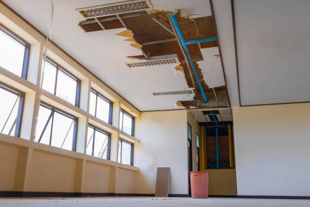 Best Water damage cleanup near me  in Kingsland, GA