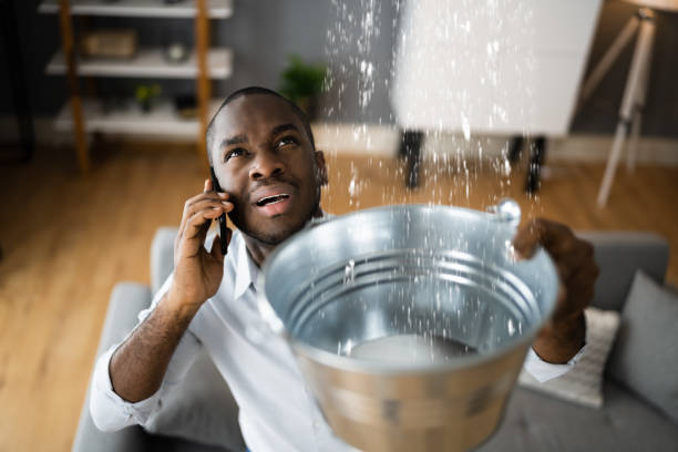 Best Flood damage cleanup  in Kingsland, GA