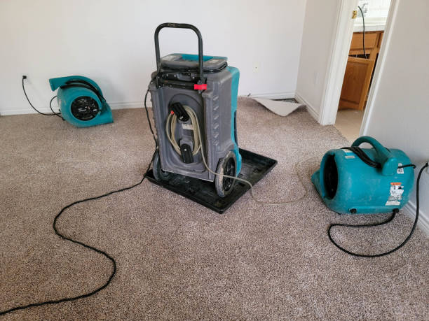 Best Water damage restoration cost  in Kingsland, GA