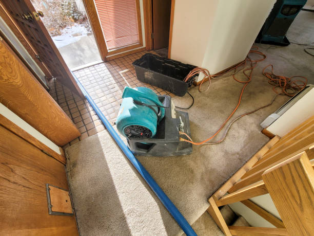 Best Water damage mitigation services  in Kingsland, GA