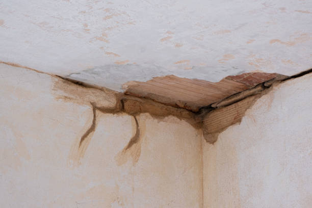 Best 24-hour water damage restoration  in Kingsland, GA