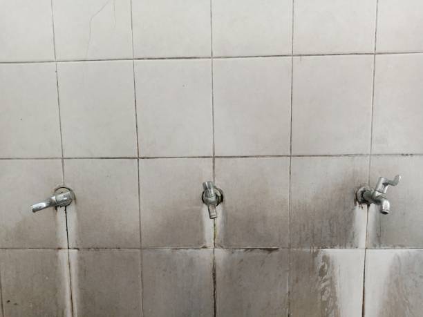 Best Mold removal after water damage  in Kingsland, GA